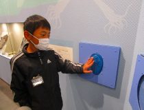 添付画像