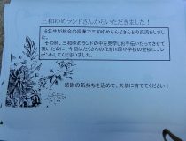 添付画像