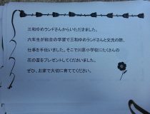 添付画像