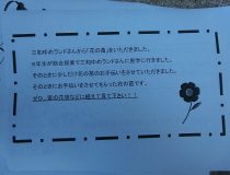 添付画像