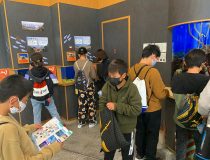 添付画像