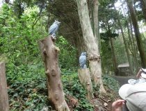 添付画像