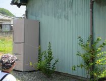 添付画像