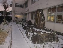 添付画像