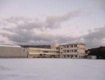 添付画像