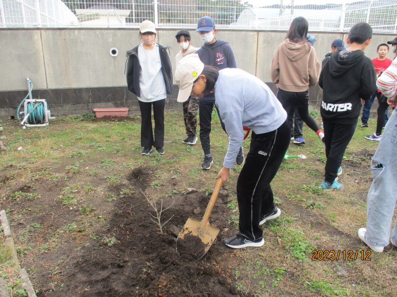 卒業記念植樹の画像