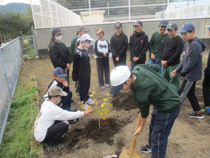 卒業記念植樹の画像
