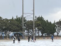 添付画像