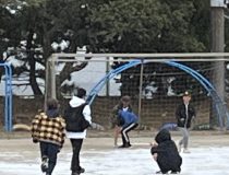 添付画像