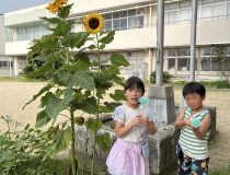 添付画像