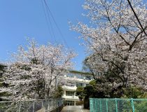 添付画像