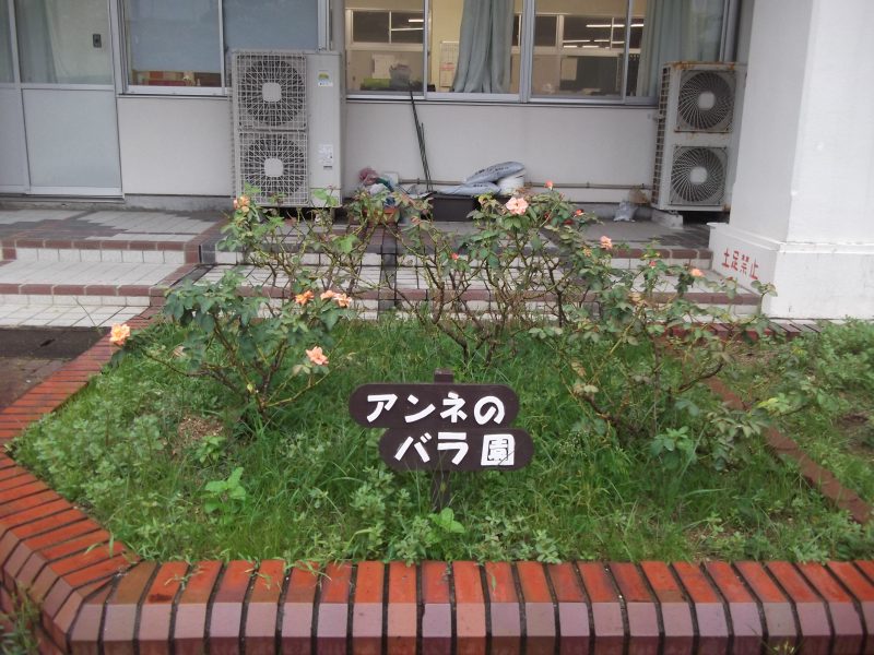 核なき世界の実現に向けての画像