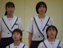 添付画像