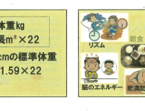 添付画像