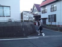 添付画像
