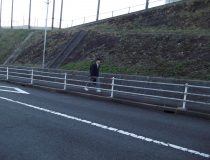 添付画像
