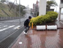 添付画像