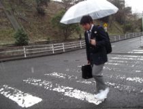 添付画像