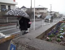添付画像