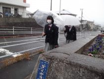 添付画像