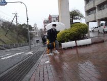 添付画像