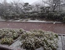 添付画像
