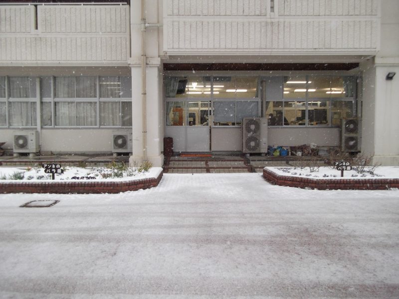 １月２４日　今季一番の積雪の日２の画像