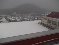 添付画像