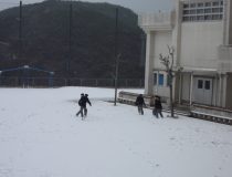 添付画像