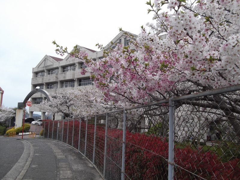 ４月９日（火）入学式の日程についての画像