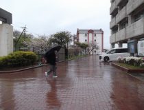 添付画像