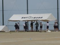 添付画像