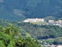 添付画像