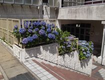 添付画像