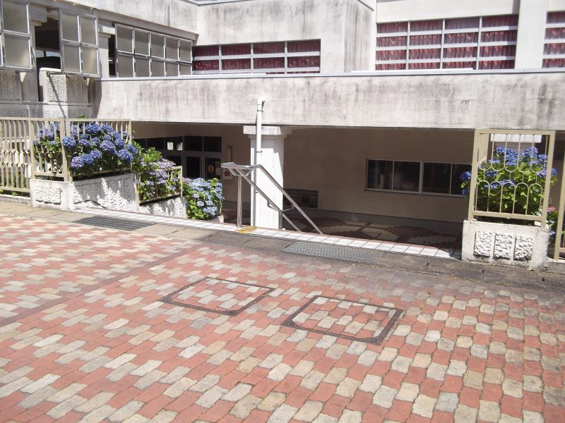 小ヶ倉中学校の６月の花たちの画像