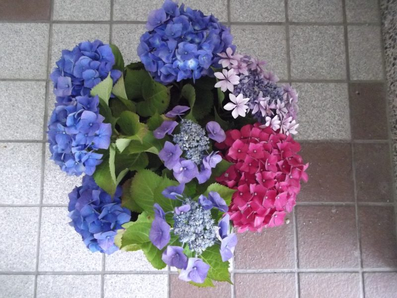 長崎っ子の心を見つめる教育週間の画像