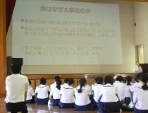 添付画像