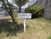 添付画像