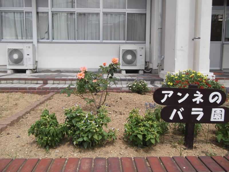 小ヶ倉中の８月の花たち１の画像