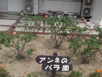 添付画像