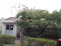 添付画像