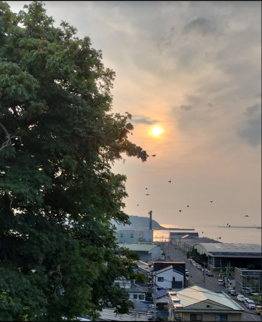 倉中生が見つけた夏休みの風景３「鳥と夕日」の画像