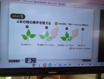 添付画像