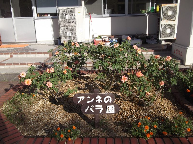 ９月の花たちの画像