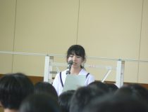 添付画像