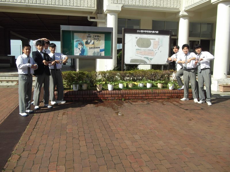 ミニ大根栽培中の画像