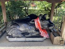 添付画像