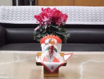 添付画像