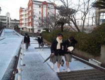 添付画像