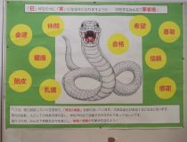 添付画像